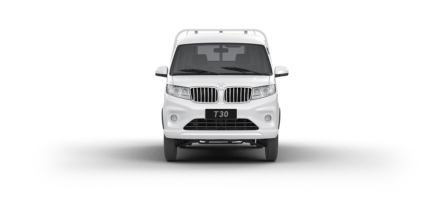 Shineray T30 imagen 1
