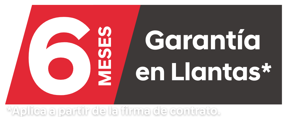 6 meses en llantas